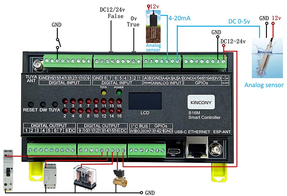 B16M diagram