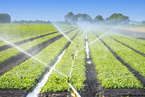 Intelligent Irrigation Solution