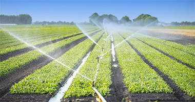 Intelligent Irrigation Solution