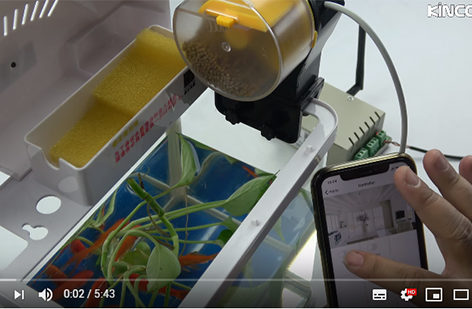 fish feeder automatic